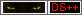 ds_logo