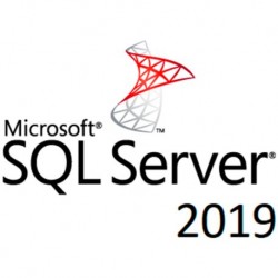 Microsoft SQL Server 2019 Standard Server