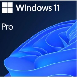 Microsoft Windows 11 Professional for Charities