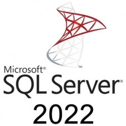 Microsoft SQL Server 2022 Standard with 5 CALs